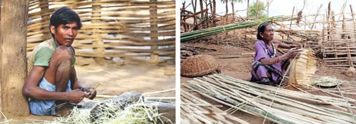 कमार आदिवासियों की आजीविका