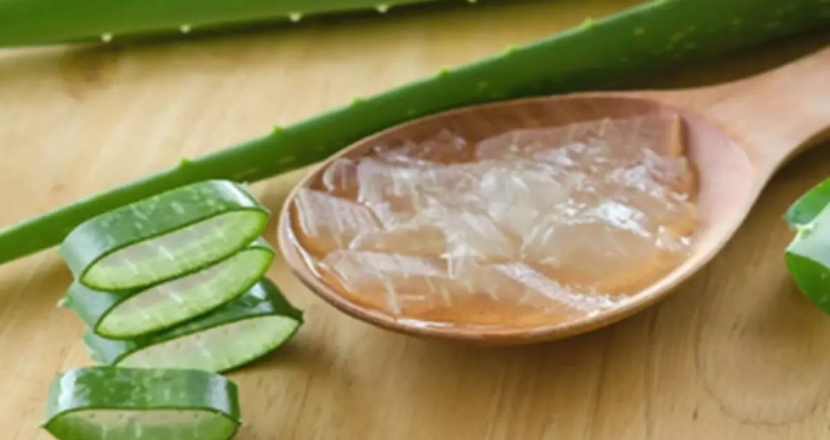डायबिटीज से लेकर डाइजेशन तक, एलोवेरा है सेहत के लिए बेहद लाभकारी
