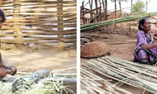 कमार आदिवासियों की आजीविका