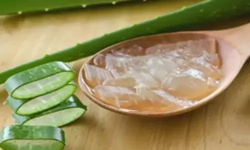 डायबिटीज से लेकर डाइजेशन तक, एलोवेरा है सेहत के लिए बेहद लाभकारी डायबिटीज से लेकर डाइजेशन तक, एलोवेरा है सेहत के लिए बेहद लाभकारी