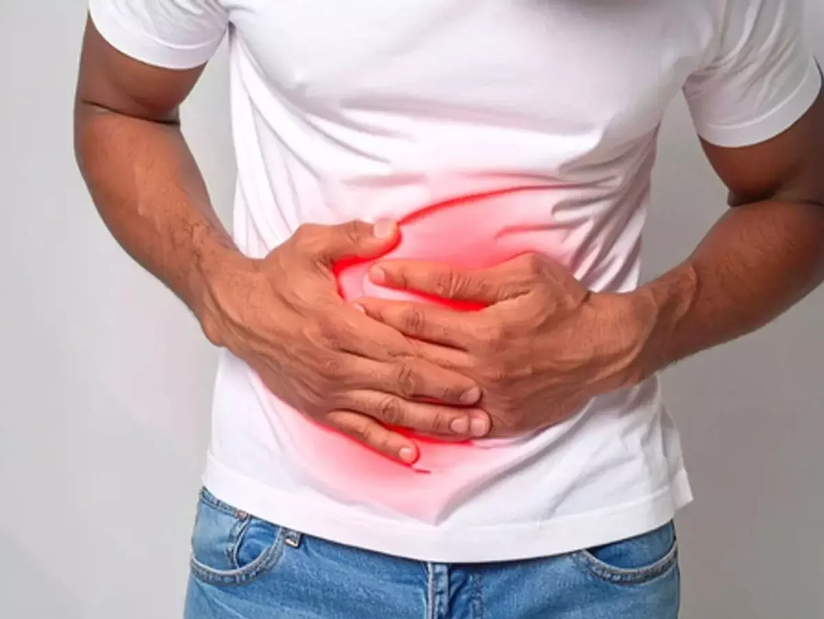 मानव शरीर में अपेंडिक्स कैसे काम करता है? आयुर्वेद में लिखे हैं देखभाल के तरीके मानव शरीर में अपेंडिक्स कैसे काम करता है? आयुर्वेद में लिखे हैं देखभाल के तरीके