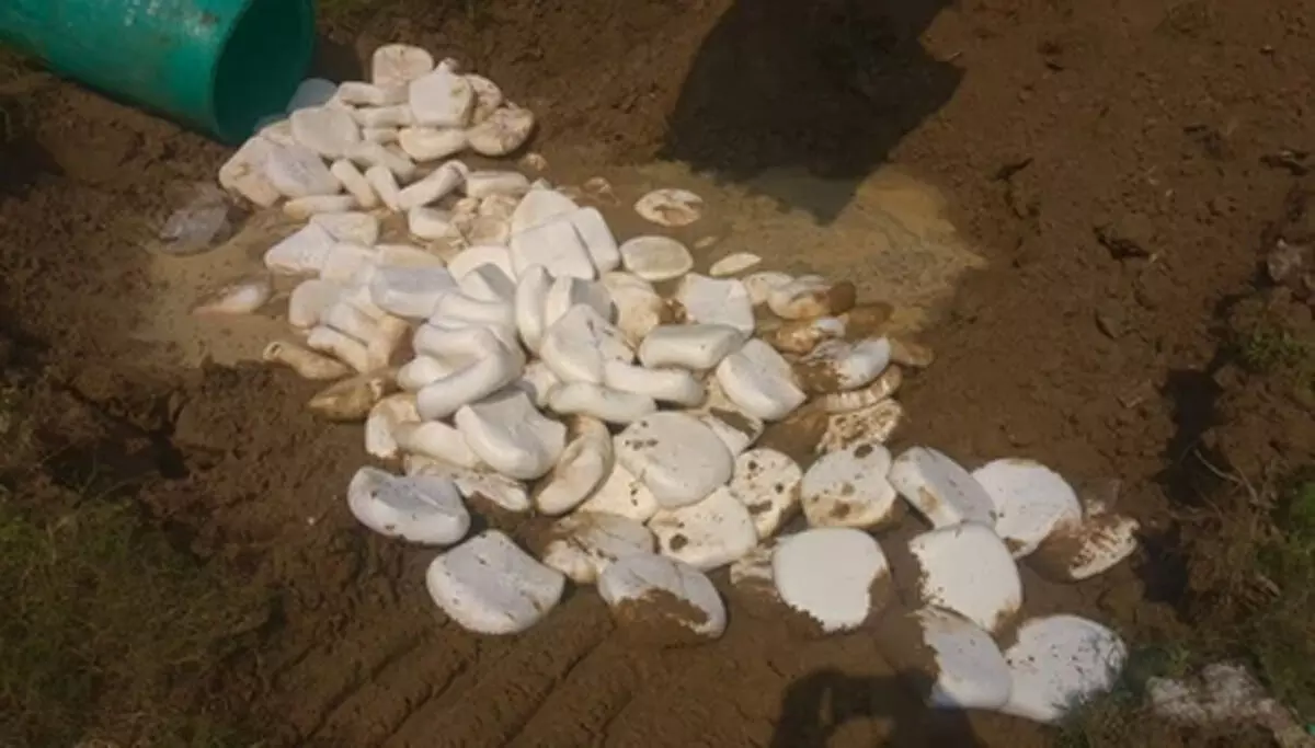 उत्तर प्रदेश: मिलावटखोरों पर शिकंजा, 8 करोड़ की मिलावटी और नुकसानदेह सामग्री जब्त उत्तर प्रदेश: मिलावटखोरों पर शिकंजा, 8 करोड़ की मिलावटी और नुकसानदेह सामग्री जब्त