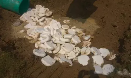 उत्तर प्रदेश: मिलावटखोरों पर शिकंजा, 8 करोड़ की मिलावटी और नुकसानदेह सामग्री जब्त उत्तर प्रदेश: मिलावटखोरों पर शिकंजा, 8 करोड़ की मिलावटी और नुकसानदेह सामग्री जब्त