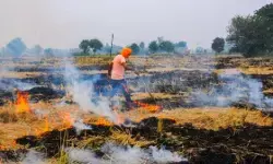 पंजाब में पराली जलाने से एयर क्वालिटी हुई पुअर, 179 मामलों में 8 लाख रुपए का जुर्माना लगाया