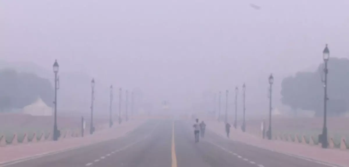 प्रदूषण से हर तीसरे व्यक्ति का फूल रहा दम, अस्पतालों में बढ़े सांस के मरीज