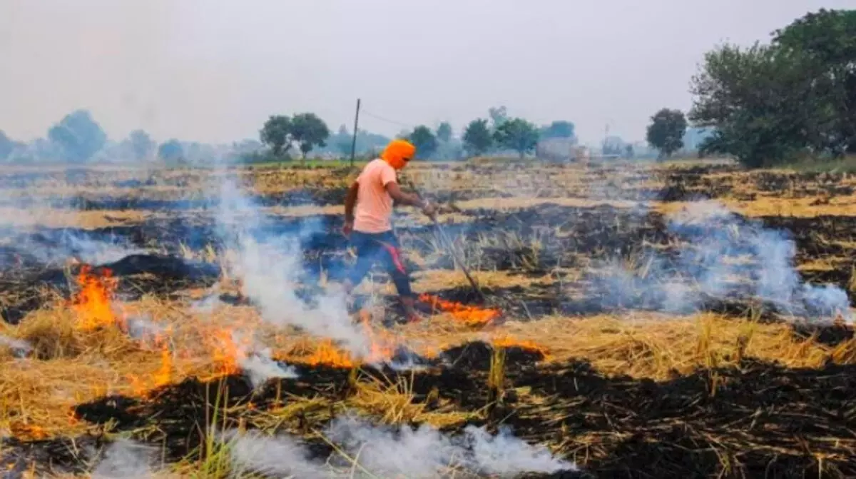 पंजाब में पराली जलाने से एयर क्वालिटी हुई पुअर, 179 मामलों में 8 लाख रुपए का जुर्माना लगाया