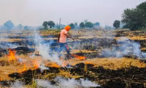 पंजाब में पराली जलाने से एयर क्वालिटी हुई पुअर, 179 मामलों में 8 लाख रुपए का जुर्माना लगाया