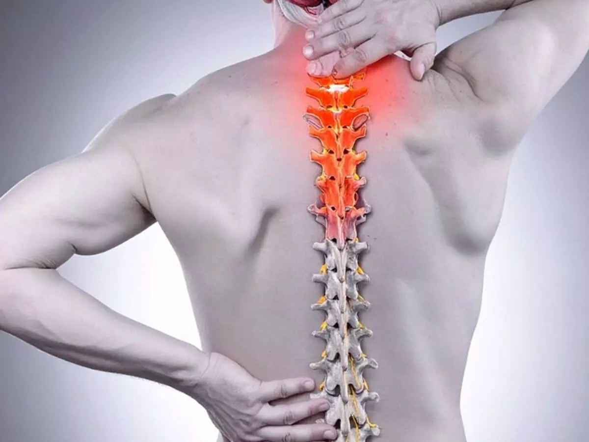 शरीर को सहारा देने वाली रीढ़ की हड्डी का ऐसे रखें ध्यान, योगासन से दें मजबूती शरीर को सहारा देने वाली रीढ़ की हड्डी का ऐसे रखें ध्यान, योगासन से दें मजबूती