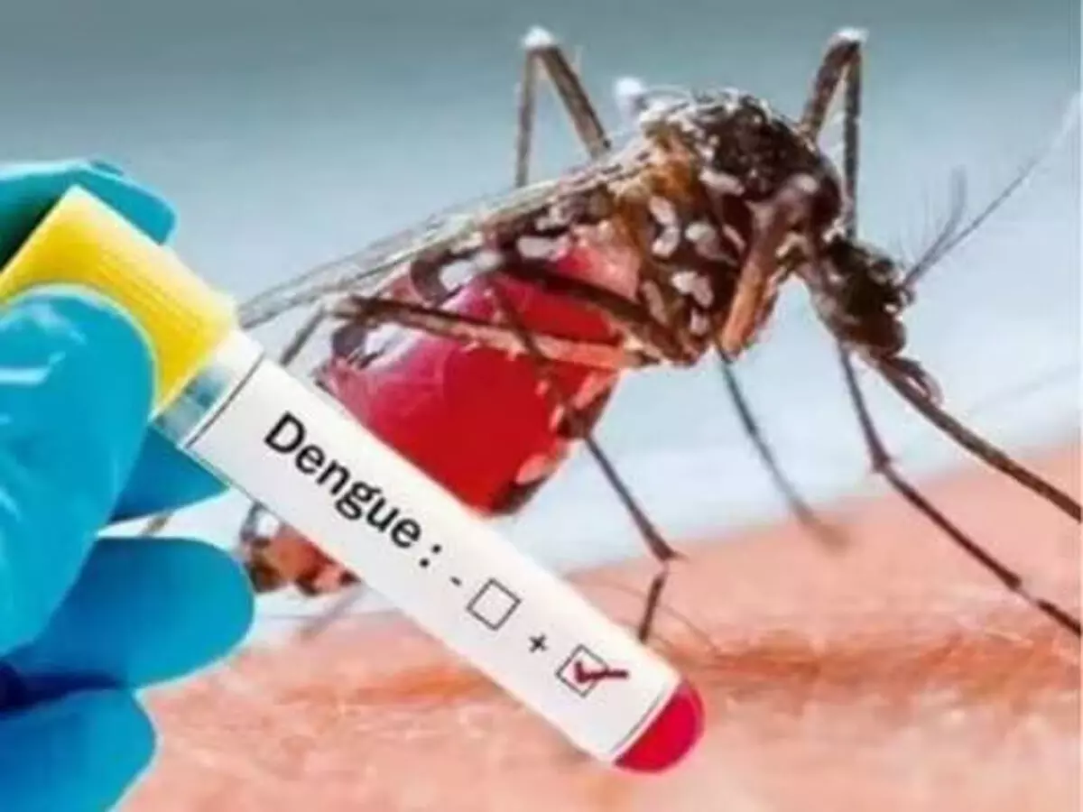 बांग्लादेश: डेंगू से चार और मौत, मृतकों की कुल संख्या 259