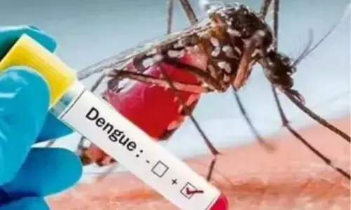 बांग्लादेश: डेंगू से पांच और मौत, 2025 में मृतकों की संख्या 280 के पार
