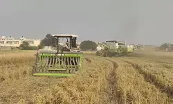 हरियाणा के करनाल में पराली प्रबंधन की मिसाल, सब्सिडी से बढ़ी उपज और घटा प्रदूषण