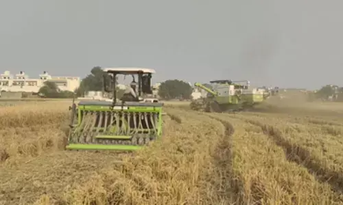 हरियाणा के करनाल में पराली प्रबंधन की मिसाल, सब्सिडी से बढ़ी उपज और घटा प्रदूषण हरियाणा के करनाल में पराली प्रबंधन की मिसाल, सब्सिडी से बढ़ी उपज और घटा प्रदूषण