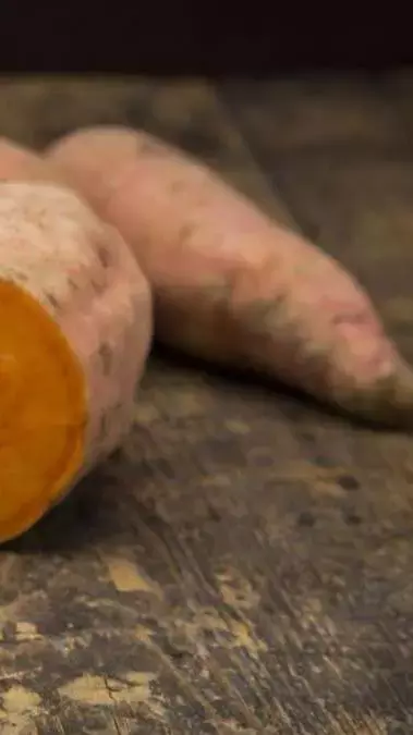 सर्दियों में सेहत का स्वाद : शकरकंद खाने के 7 बड़े फायदे सर्दियों में सेहत का स्वाद : शकरकंद खाने के 7 बड़े फायदे