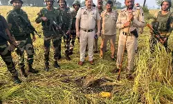 बीएसएफ ने जम्मू के आरएस पुरा से 5.3 किलो हेरोइन के दो पैकेट किए बरामद