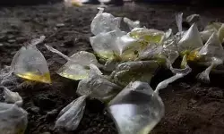 एक और तेजाब कांड, समाज पर सवाल