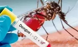 बांग्लादेश : 24 घंटे के अंदर डेंगू के 983 नए मामले आए सामने , 2,800 मरीज करा रहे इलाज बांग्लादेश : 24 घंटे के अंदर डेंगू के 983 नए मामले आए सामने , 2,800 मरीज करा रहे इलाज