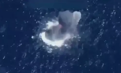 ड्रग्स तस्करों के खिलाफ अमेरिकी सेना की कार्रवाई, मारे गए 14 लोग ड्रग्स तस्करों के खिलाफ अमेरिकी सेना की कार्रवाई, मारे गए 14 लोग