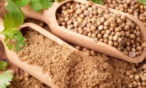 धनिया: सेहत के लिए प्रकृति का एक तोहफा, जो संतुलित रखे तन और मन