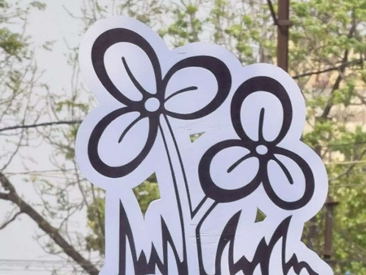 कोलकाता में मंगलवार को एसआईआर के खिलाफ टीएमसी की विरोध रैली कोलकाता में मंगलवार को एसआईआर के खिलाफ टीएमसी की विरोध रैली