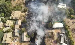 इजरायल : आइन वेरेड में तेजी से बढ़ रही जंगल की आग, 4 फायरफाइटिंग प्लेन तैनात