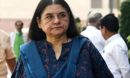 फिल्में हंसना-रोना सिखाती हैं, बेजुबानों की भावनाएं कौन समझेगा? - मेनका गांधी