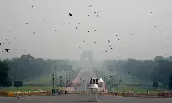 दिल्ली-एनसीआर गैस चैंबर में तब्दील, हवा की गुणवत्ता ‘गंभीर’ स्तर पर दिल्ली-एनसीआर गैस चैंबर में तब्दील, हवा की गुणवत्ता ‘गंभीर’ स्तर पर