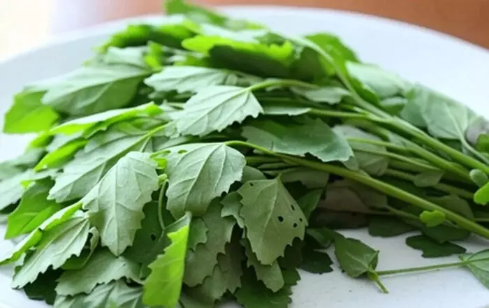 आंतों से लेकर जोड़ों तक, जानिए बथुआ कैसे रखता है शरीर को फिट?