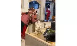 मासिक शिवरात्रि का व्रत करने से कुंवारी कन्याएं और सुहागिन महिलाएं को मिलेंगे अनेक लाभ, जानें सही पूजा विधि