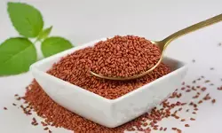 माताओं के लिए वरदान है हलिम, स्वाद के साथ रखे सेहत का भी ख्याल