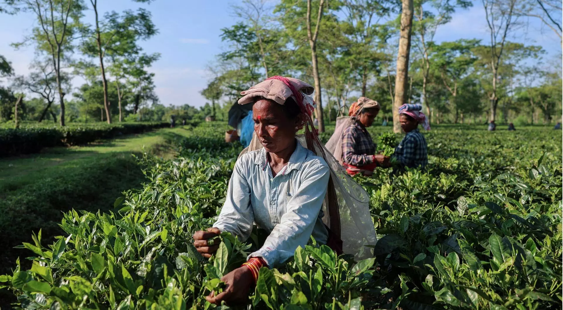 ट्रंप के किस कदम से भारतीय किसानों को हो सकता है फायदा