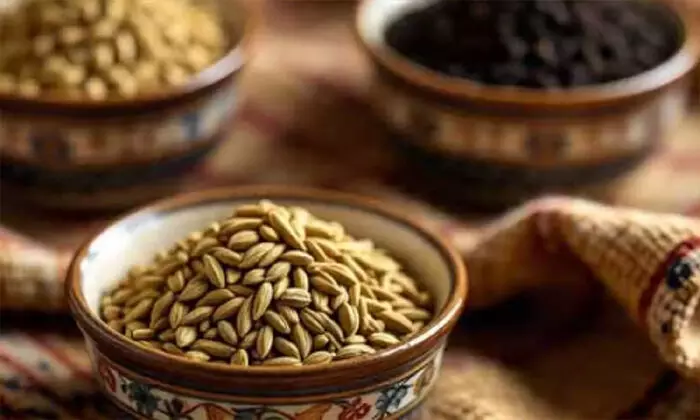 रोगों का काल है इन तीन औषधियों का मिश्रण, बुढ़ापे में भी रहेंगे स्वस्थ और सेहतमंद