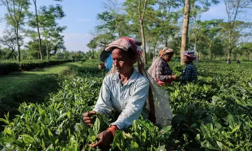 ट्रंप के किस कदम से भारतीय किसानों को हो सकता है फायदा