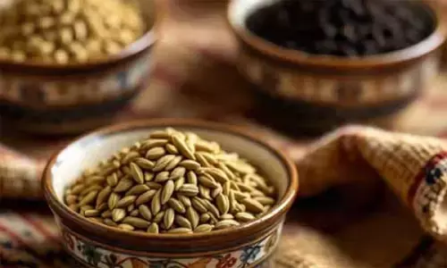 रोगों का काल है इन तीन औषधियों का मिश्रण, बुढ़ापे में भी रहेंगे स्वस्थ और सेहतमंद