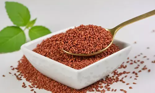 माताओं के लिए वरदान है हलिम, स्वाद के साथ रखे सेहत का भी ख्याल