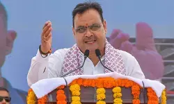 राजस्थान की अनोखी पहल : 65,490 पशुओं का चैटबॉट से इलाज!