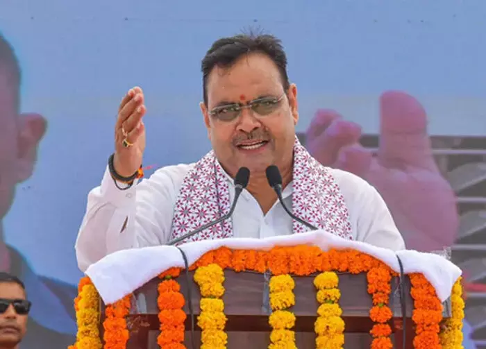 राजस्थान की अनोखी पहल : 65,490 पशुओं का चैटबॉट से इलाज! राजस्थान की अनोखी पहल : 65,490 पशुओं का चैटबॉट से इलाज!