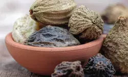 पेट की सफाई के लिए त्रिफला सबसे असरदार, रात में दूध के साथ लें