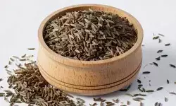 अगहन मास में जीरा खाना वर्जित, जानिए क्या कहती हैं पुराण और परंपराएं?