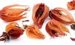 जावित्री : सिर्फ खुशबूदार मसाला नहीं, आपकी सेहत का भी रखे ख्याल