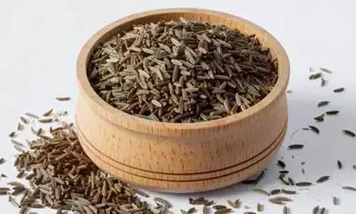 अगहन मास में जीरा खाना वर्जित, जानिए क्या कहती हैं पुराण और परंपराएं? अगहन मास में जीरा खाना वर्जित, जानिए क्या कहती हैं पुराण और परंपराएं?