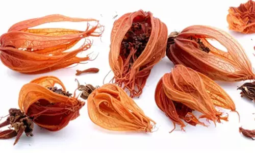 जावित्री : सिर्फ खुशबूदार मसाला नहीं, आपकी सेहत का भी रखे ख्याल जावित्री : सिर्फ खुशबूदार मसाला नहीं, आपकी सेहत का भी रखे ख्याल