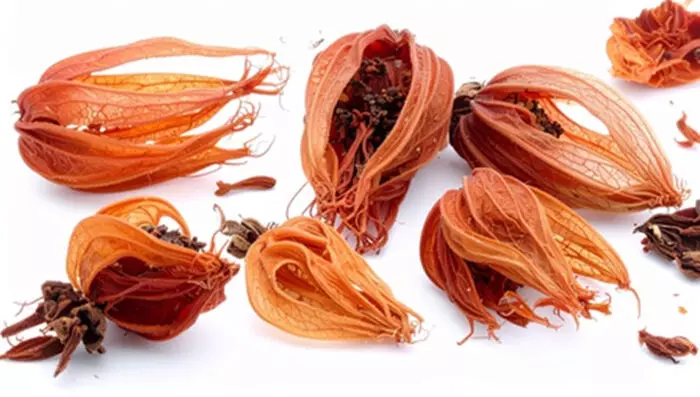 जावित्री : सिर्फ खुशबूदार मसाला नहीं, आपकी सेहत का भी रखे ख्याल