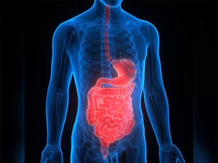 अल्सरेटिव कोलाइटिस : पेट की आम समस्याओं में छिपा सच, जानिए आयुर्वेदिक उपाय अल्सरेटिव कोलाइटिस : पेट की आम समस्याओं में छिपा सच, जानिए आयुर्वेदिक उपाय