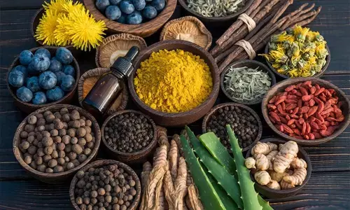 योगवाही औषधियां : दवाओं के असर को कई गुना बढ़ाने वाली जड़ी-बूटियां योगवाही औषधियां : दवाओं के असर को कई गुना बढ़ाने वाली जड़ी-बूटियां