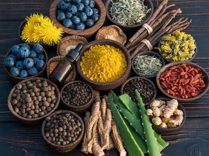 योगवाही औषधियां : दवाओं के असर को कई गुना बढ़ाने वाली जड़ी-बूटियां