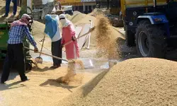 नए श्रम कानूनों से मजदूरों की आमदनी बढ़ेगी, महिलाएं सशक्त होंगी