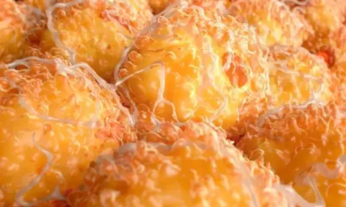 ठंड में वजन अपने आप पिघलने लगता है! जानिए ब्राउन फैट का सीक्रेट ठंड में वजन अपने आप पिघलने लगता है! जानिए ब्राउन फैट का सीक्रेट