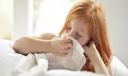 सबक्लेड के फ्लू: यूके, यूएस और कनाडा में बढ़ते केस, क्या है यह नया खतरा?