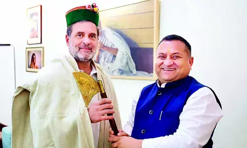 राहुल गांधी से मिले हिमाचल कांग्रेस के नए अध्यक्ष विनय कुमार, 30 नवंबर को पदभार ग्रहण करेंगे