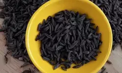 काली जीरी : पेट के कीड़ों और गैस की छुट्टी का घरेलू नुस्खा, जानें सेवन का सही तरीका